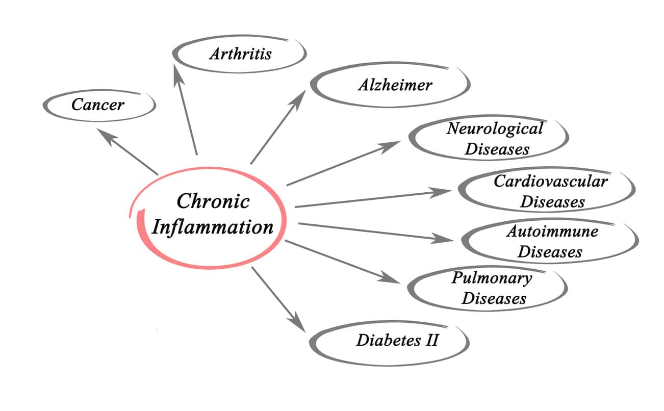 Chronic Low Grade Inflammation What Foods Can Help 