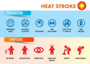 heat stroke illustration showing symptoms and prevention tips